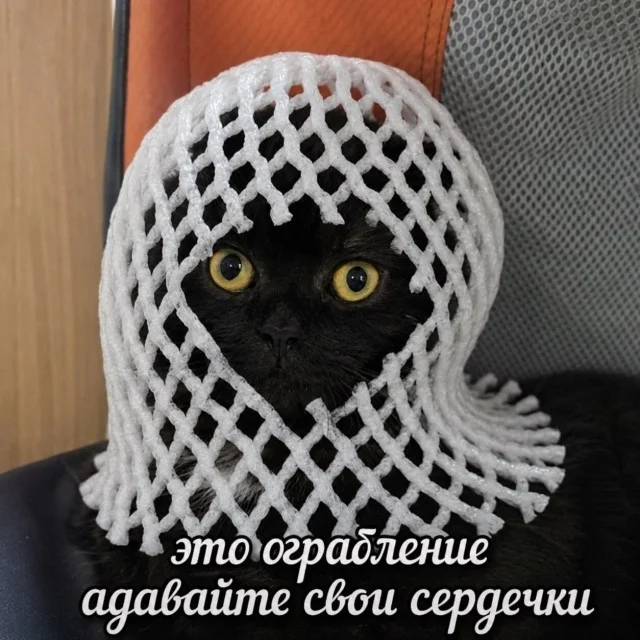 Улыбнись, уже пятница! Улыбнись, уже пятница! юмор, мемы, пятница, картинки, позитив