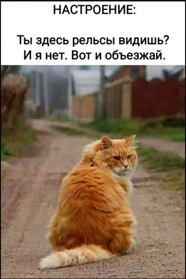 Улыбнись, уже пятница! Улыбнись, уже пятница! юмор, мемы, пятница, картинки, позитив