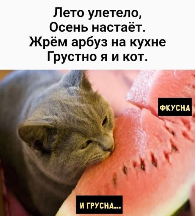 Улыбнись, уже пятница! Улыбнись, уже пятница! юмор, мемы, пятница, картинки, позитив