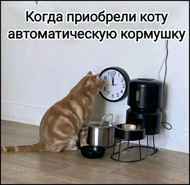 Улыбнись, уже пятница! Улыбнись, уже пятница! юмор, мемы, пятница, картинки, позитив