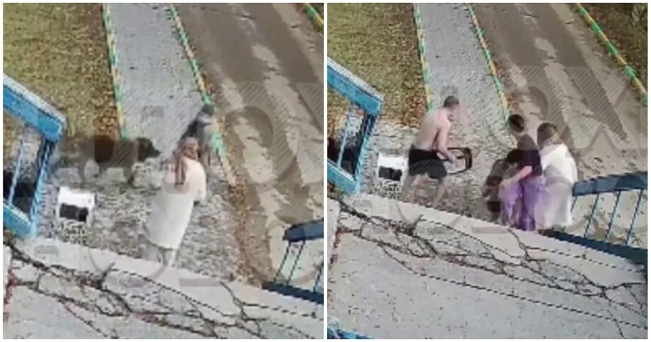 Мать отбивала сына сумкой от пса в Якутии