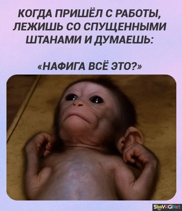 Когда жизнь подкидывает смешные моменты приколы, картинки, юмор, когда, мемы