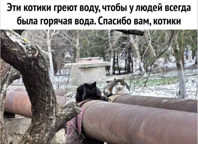 Мемы, которые поймут все: от офиса до дивана Мемы, которые поймут все: от офиса до дивана мемы, юмор, приколы, работа, друзья, быт, картинки