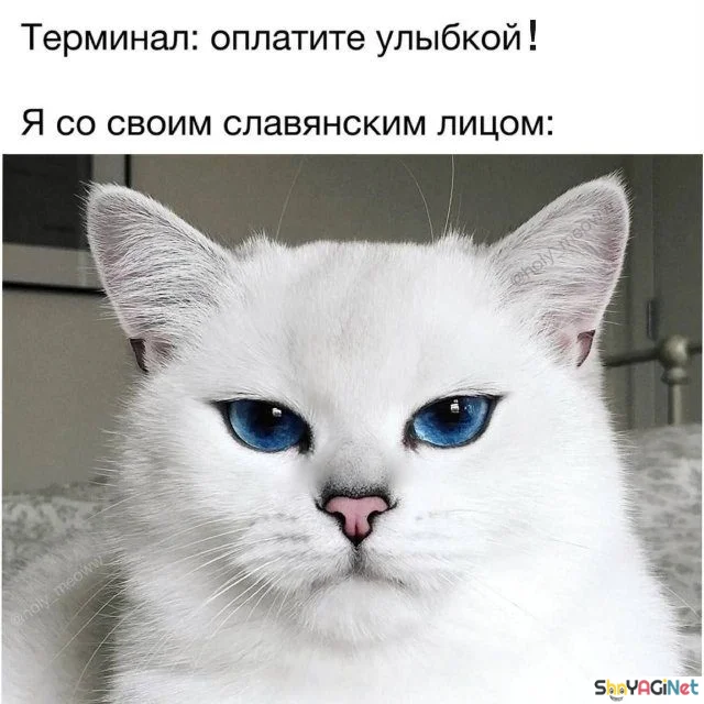 Умора! Подборка убойных приколов приколы, мемы, картинки, юмор, смешное