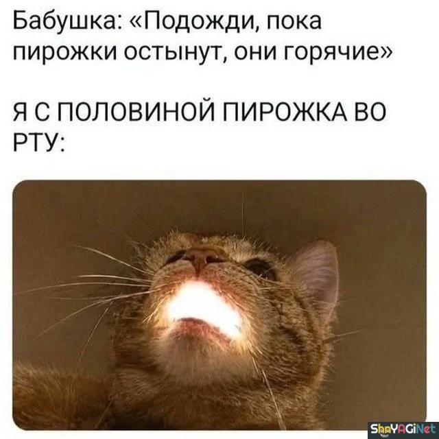 Умора! Подборка убойных приколов приколы, мемы, картинки, юмор, смешное