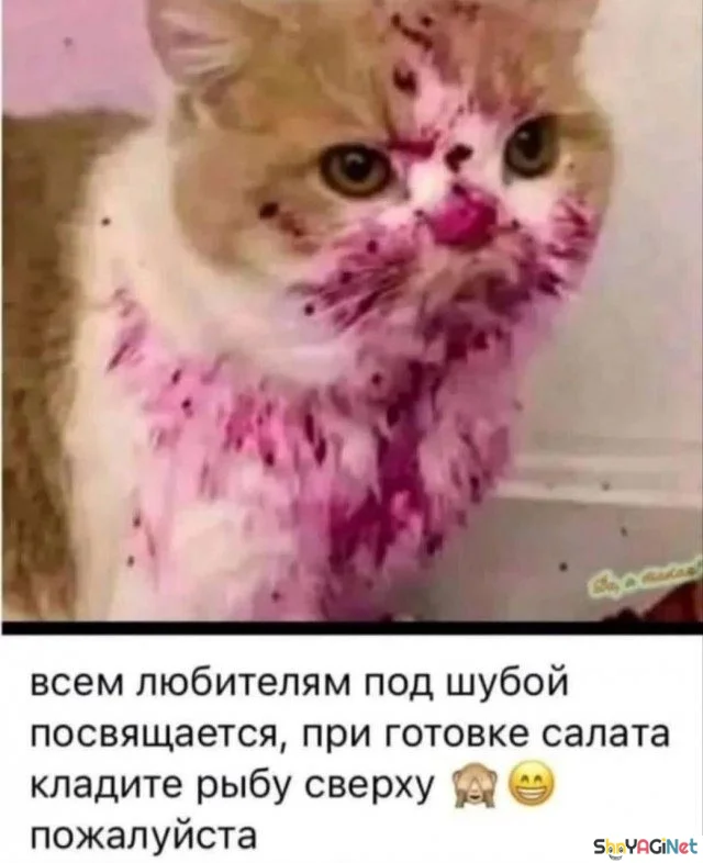 Умора! Подборка убойных приколов приколы, мемы, картинки, юмор, смешное