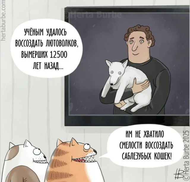 Мемы, в которых вы узнаете себя мемы, юмор, подборка, картинки, жизнь