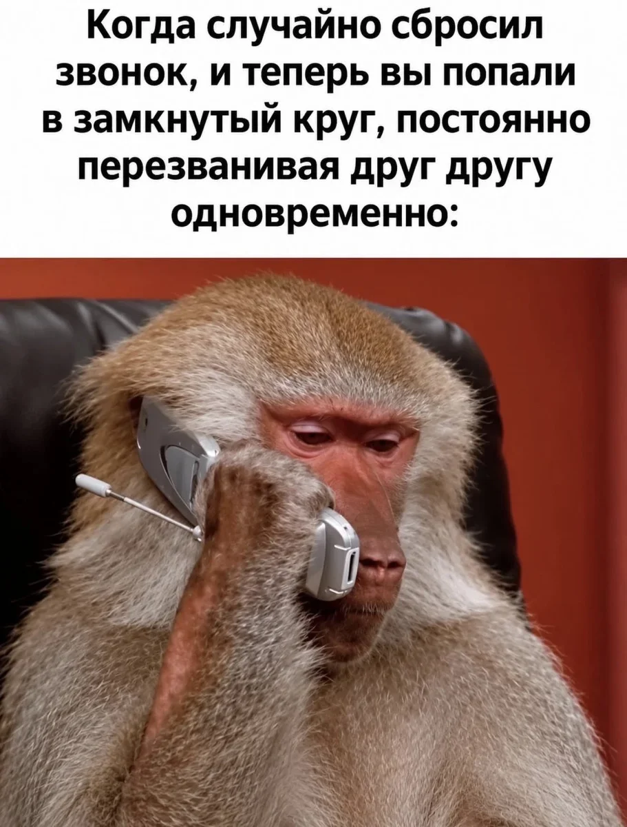 Смешные картинки дня: заряжаемся позитивом мемы, юмор, картинки, шутки, позитив