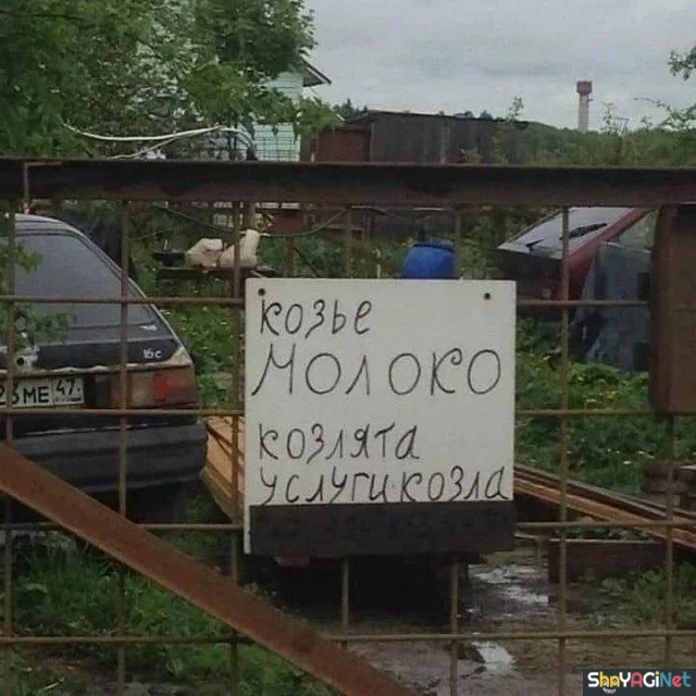 20 народных хитов для поднятия настроения приколы, надписи, юмор, картинки, подборка