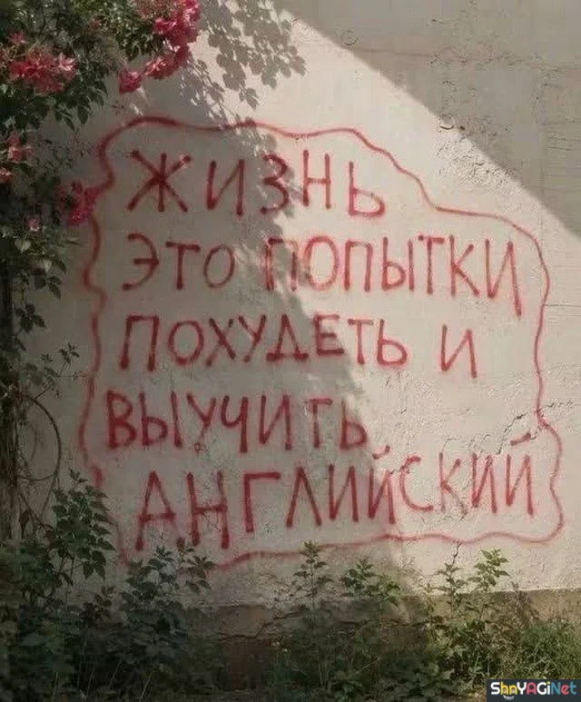 20 народных хитов для поднятия настроения приколы, надписи, юмор, картинки, подборка