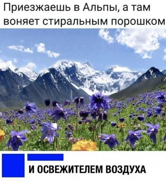 Порошок, который стирает унылость: смешные мемы и картинки мемы, приколы, стиральный порошок, картинки, юмор, Persil, Хенкель, подборка