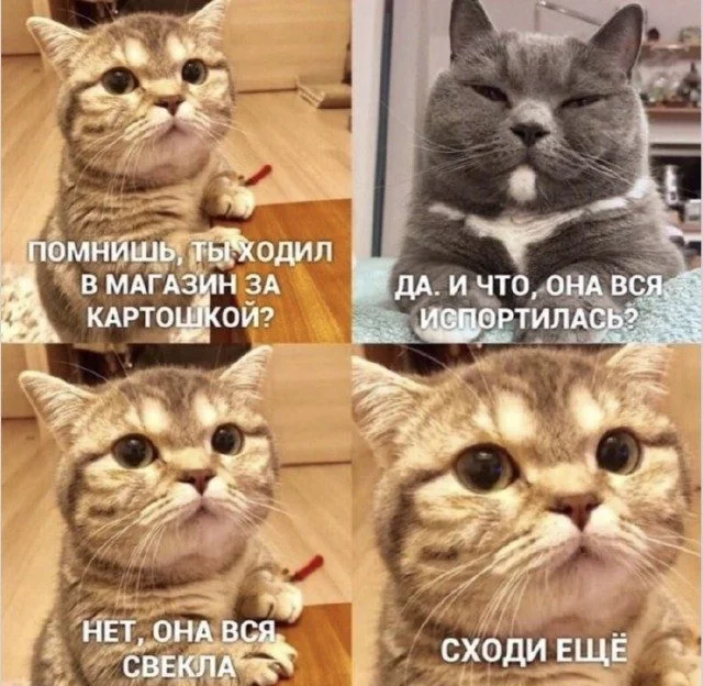 Рабочие будни в мемах: до боли знакомо мемы, работа, офис, юмор, подборка