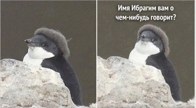 Рабочие будни в мемах: до боли знакомо мемы, работа, офис, юмор, подборка