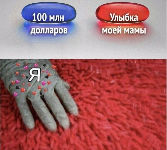 Мяу-мяу, и ты смеешься коты, мемы, юмор, приколы, животные