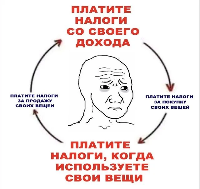 Мяу-мяу, и ты смеешься коты, мемы, юмор, приколы, животные