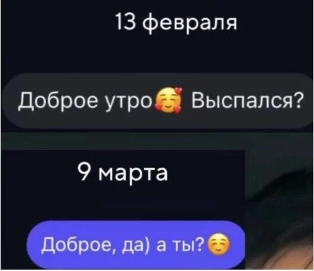 Мяу-мяу, и ты смеешься коты, мемы, юмор, приколы, животные