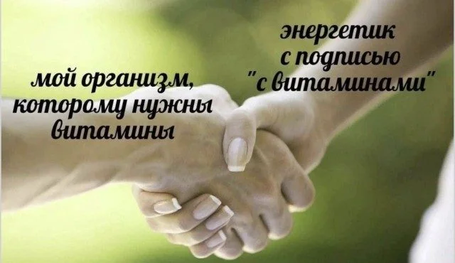 Мяу-мяу, и ты смеешься коты, мемы, юмор, приколы, животные
