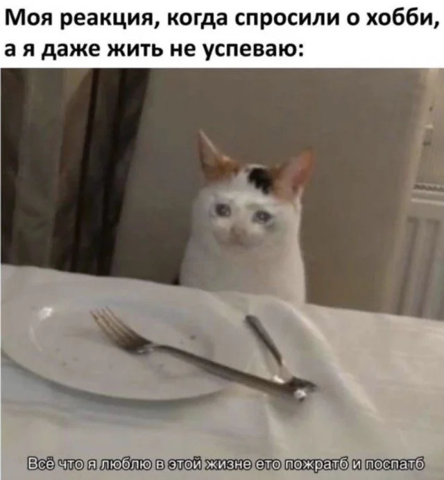 Мемы, которые поймут все, кто в отношениях мемы, отношения, юмор, переписки, быт, свидания