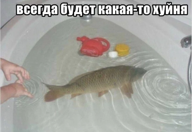 Мемы, которые поймут все, кто в отношениях мемы, отношения, юмор, переписки, быт, свидания