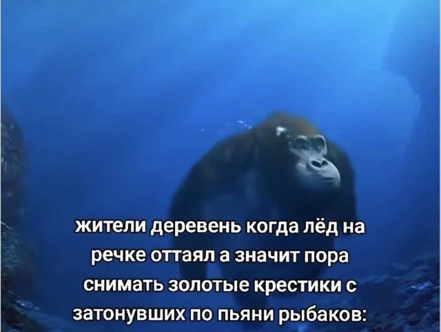 Мемы, которые поймут все, кто в отношениях мемы, отношения, юмор, переписки, быт, свидания
