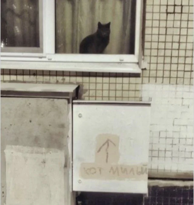 Мемы, которые поймут все, кто в отношениях мемы, отношения, юмор, переписки, быт, свидания