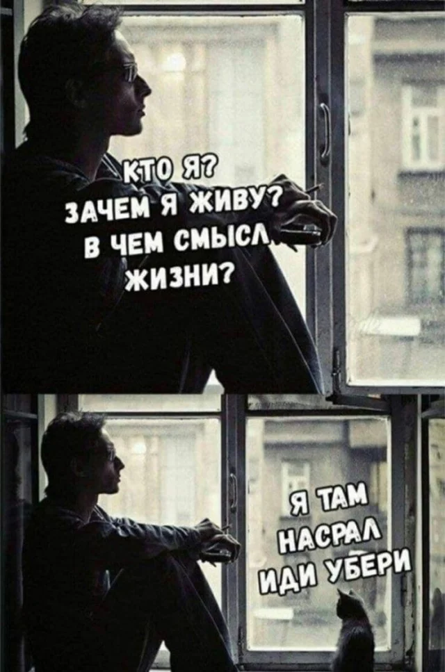Воскресный заряд позитива: мемы для хорошего настроения мемы, юмор, картинки, подборка, воскресенье