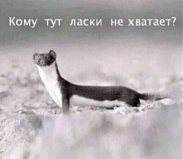 Воскресный заряд позитива: мемы для хорошего настроения мемы, юмор, картинки, подборка, воскресенье