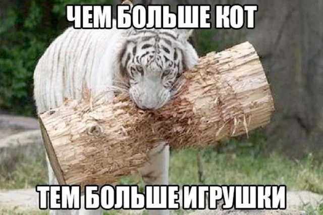 Воскресный заряд позитива: мемы для хорошего настроения мемы, юмор, картинки, подборка, воскресенье