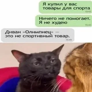 Шесть времен года: как Лена перепутала музыку с природой юмор, анекдот, дети, школа, музыка, времена года