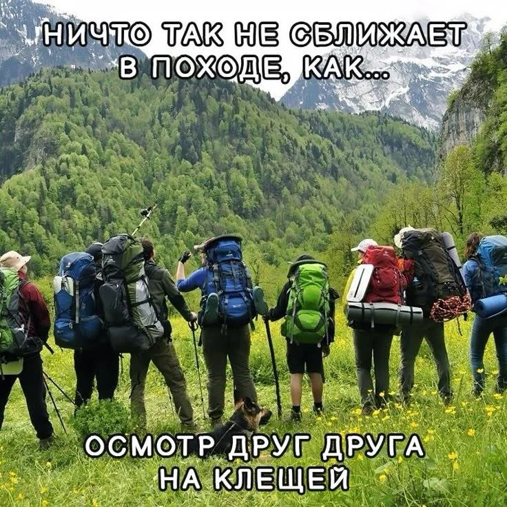 Туристы, отдыхающие и их незабываемые приключения в мемах Туристы, отдыхающие и их незабываемые приключения в мемах мемы, туризм, отдых, путешествия, юмор, картинки