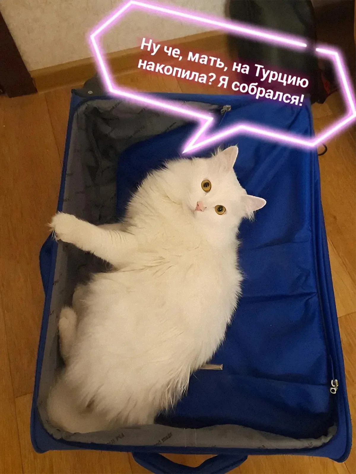 Туристы, отдыхающие и их незабываемые приключения в мемах Туристы, отдыхающие и их незабываемые приключения в мемах мемы, туризм, отдых, путешествия, юмор, картинки