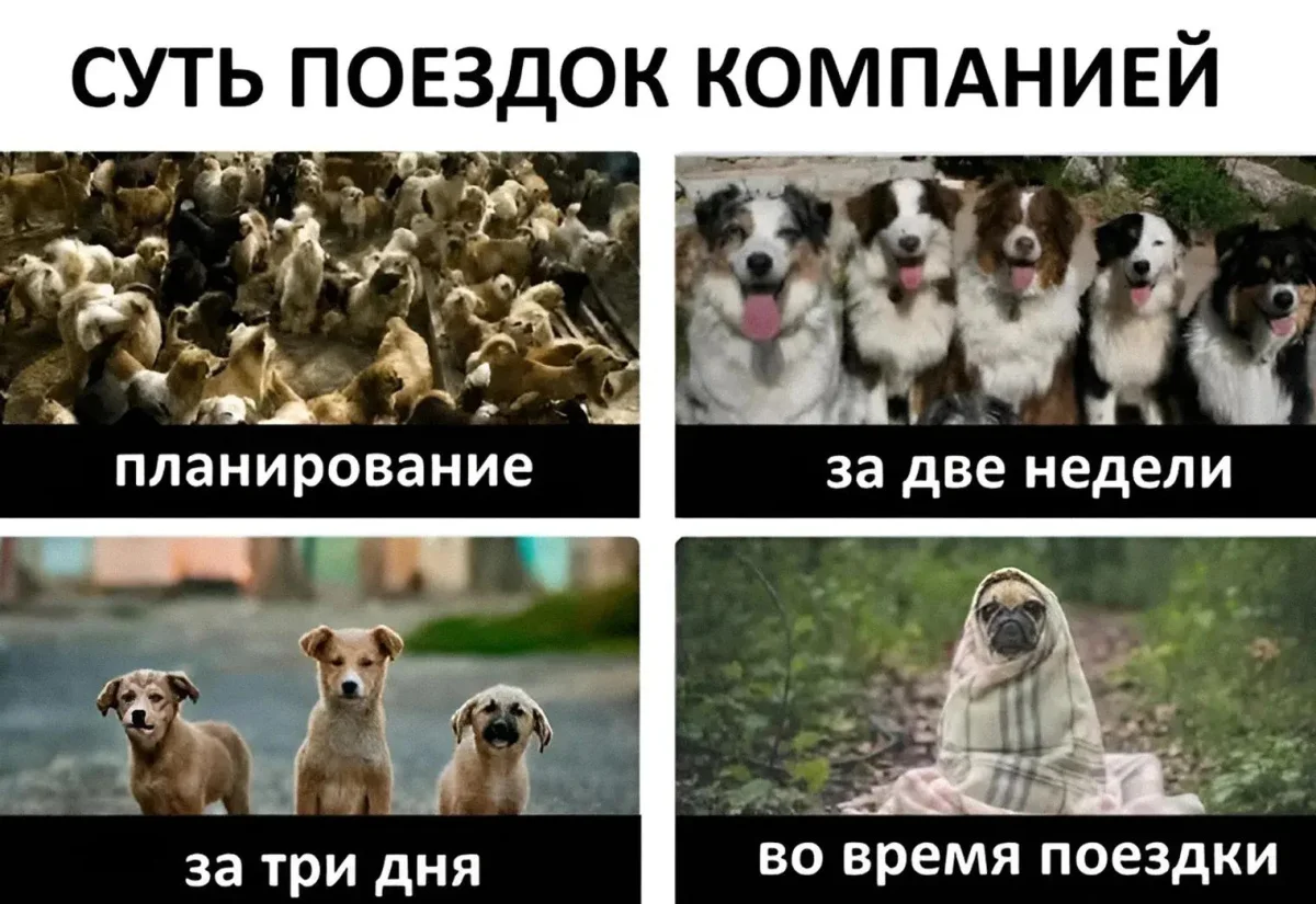 Туристы, отдыхающие и их незабываемые приключения в мемах Туристы, отдыхающие и их незабываемые приключения в мемах мемы, туризм, отдых, путешествия, юмор, картинки