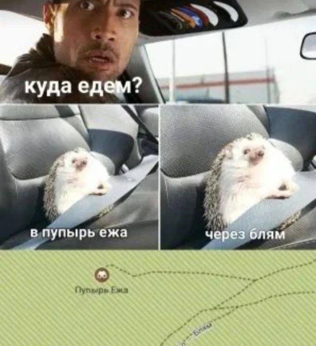 Мемы, которые поймут все мемы, юмор, приколы, картинки, подборка