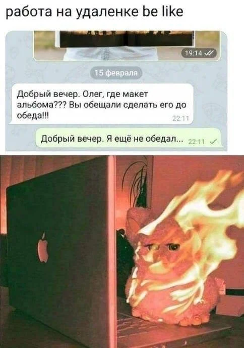 Мемы, которые поймут все мемы, юмор, приколы, картинки, подборка