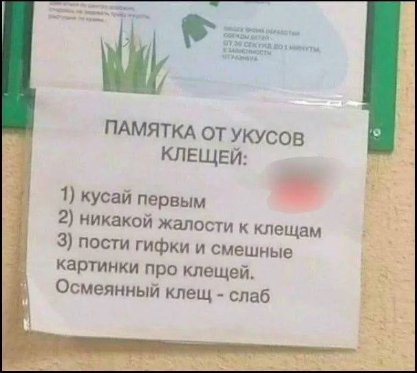 Мемы, которые поймут все мемы, юмор, приколы, картинки, подборка