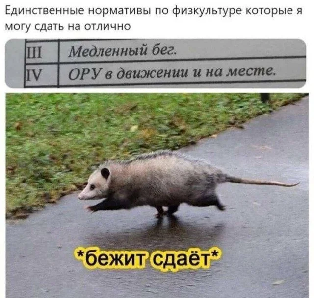 Мемы, которые поймут все мемы, юмор, приколы, картинки, подборка
