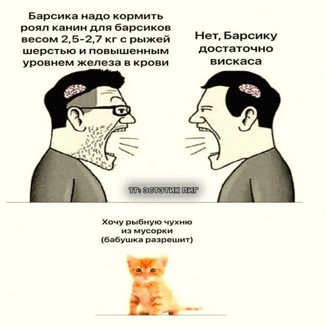 Мемы для вечернего настроения Мемы для вечернего настроения мемы, юмор, картинки, подборка