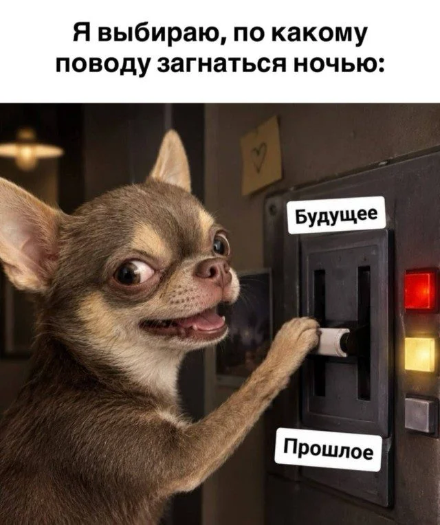 Мемы для вечернего настроения Мемы для вечернего настроения мемы, юмор, картинки, подборка