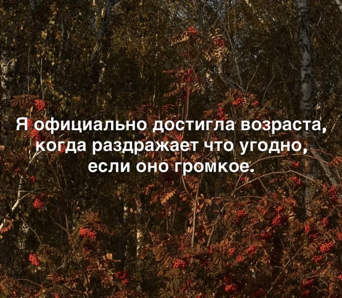 Мемы недели: листай и смейся мемы, юмор, картинки, подборка, приколы, смешное