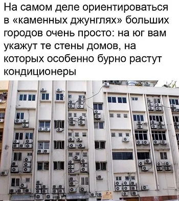 Смех сквозь слёзы: шутки про запреты, бензин и абсурд