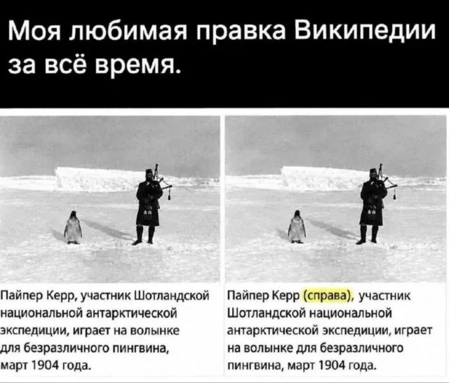 Утренние мемы: кофемашина, ударник и другие приколы мемы, юмор, картинки, приколы, подборка