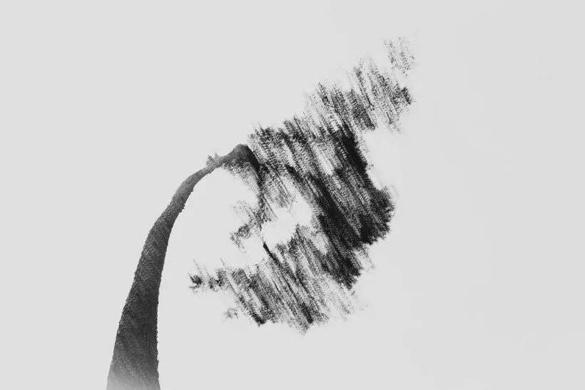 Меньше значит больше: лучшие минималистичные кадры года фотография, минимализм, конкурс, искусство, природа, архитектура