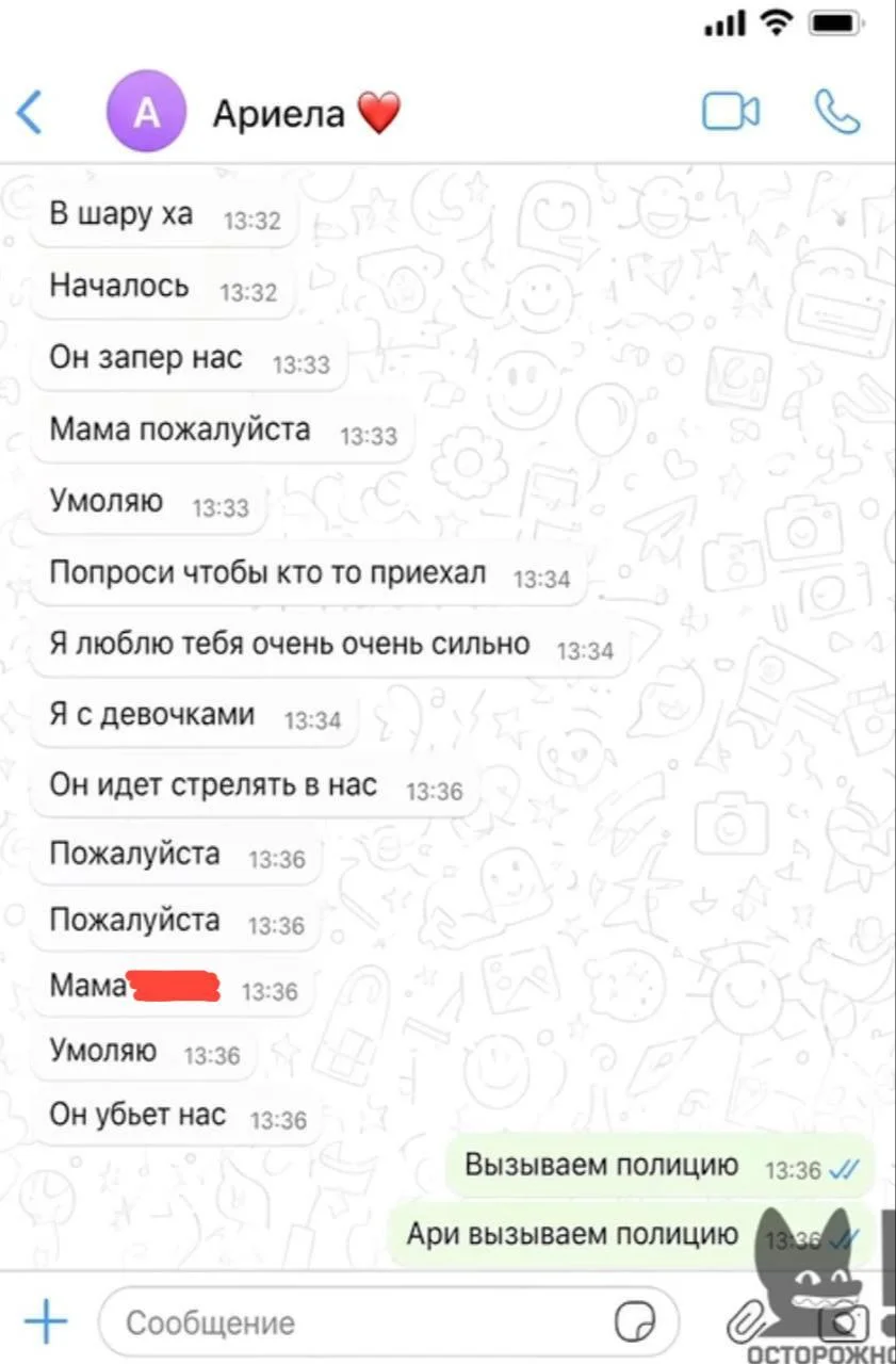 Самойлова показала переписку с дочерью во время нападения Джигана Оксана Самойлова, Джиган, нападение, Ариела, Ксения Собчак, интервью, дети, переписка, WhatsApp, экстремизм