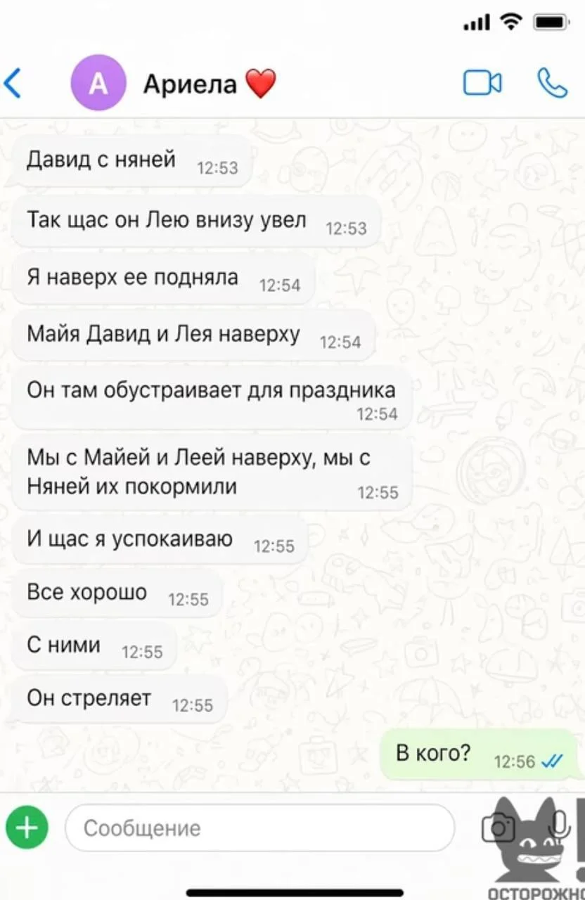 Самойлова показала переписку с дочерью во время нападения Джигана Оксана Самойлова, Джиган, нападение, Ариела, Ксения Собчак, интервью, дети, переписка, WhatsApp, экстремизм