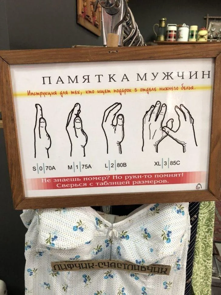 Осенний урожай смеха: лучшие мемы сентября Осенний урожай смеха: лучшие мемы сентября мемы, юмор, картинки, приколы, соцсети, осень, 2026