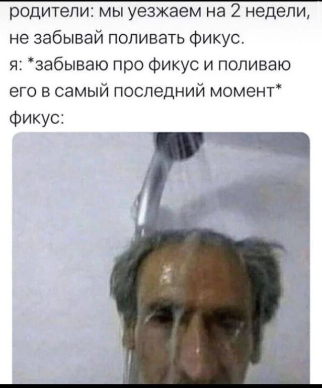Мемы, которые спасут ваш день мемы, юмор, картинки, подборка, смешное, позитив