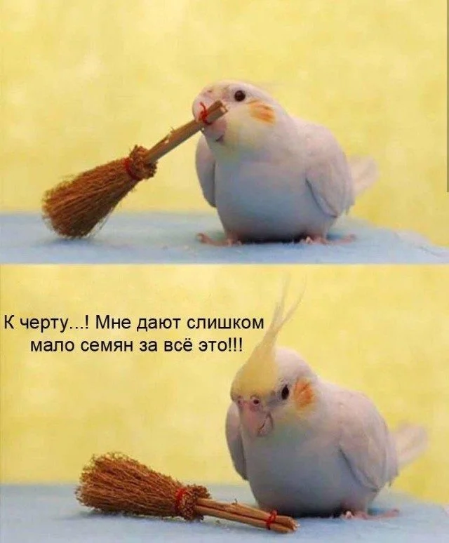 Мемы, которые спасут ваш день мемы, юмор, картинки, подборка, смешное, позитив