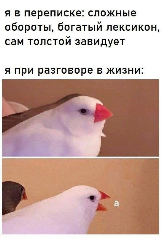 Мемы, которые спасут ваш день мемы, юмор, картинки, подборка, смешное, позитив