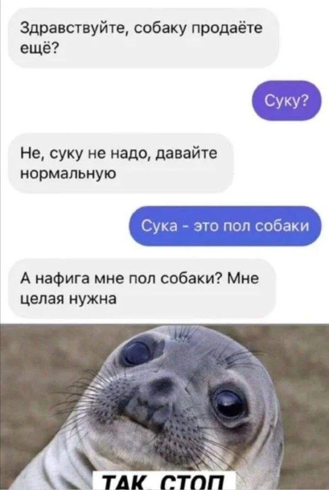 Мемы, которые спасут ваш день мемы, юмор, картинки, подборка, смешное