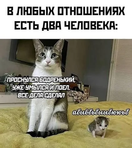 23 картинки сентября 2026, от которых вы заржали 23 картинки сентября 2026, от которых вы заржали мемы, картинки, юмор, приколы, лол-арт, подборка